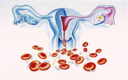 1766111818551839.png image.png