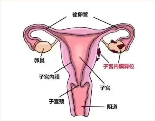 1766112768366071.png image.png